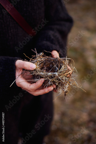 small bird's nest in the hands