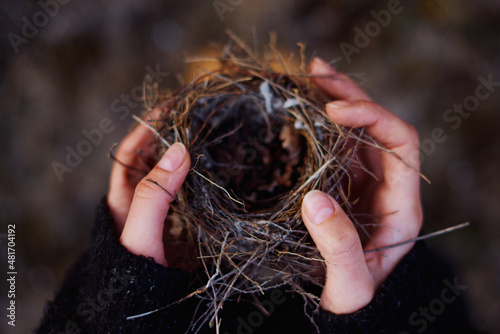 small bird's nest in the hands