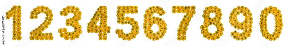 Set of arabic numbers from natural yellow flowers of buttercup, isolated on white background Set of arabic numbers from natural yellow flowers of buttercup, isolated on white background