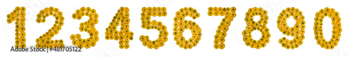 Set of arabic numbers from natural yellow flowers of buttercup, isolated on white background
