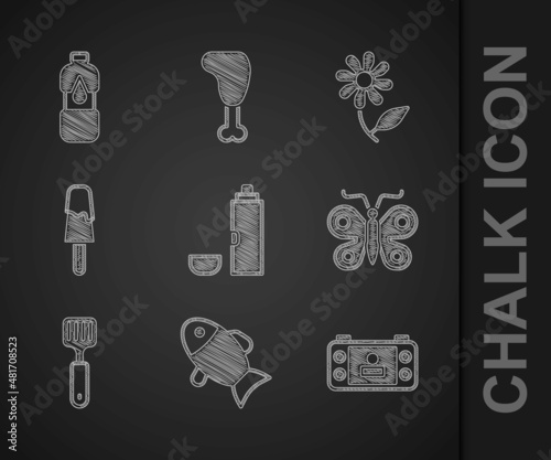 Set Thermos container, Fish, Portable video game console, Butterfly, Spatula, Ice cream, Flower and Bottle of water icon. Vector