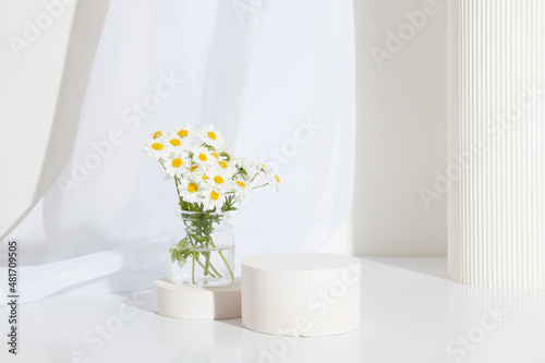 Empty cylindrical podium or plinth with chamomile flowers on white background. Empty shelf product standing background