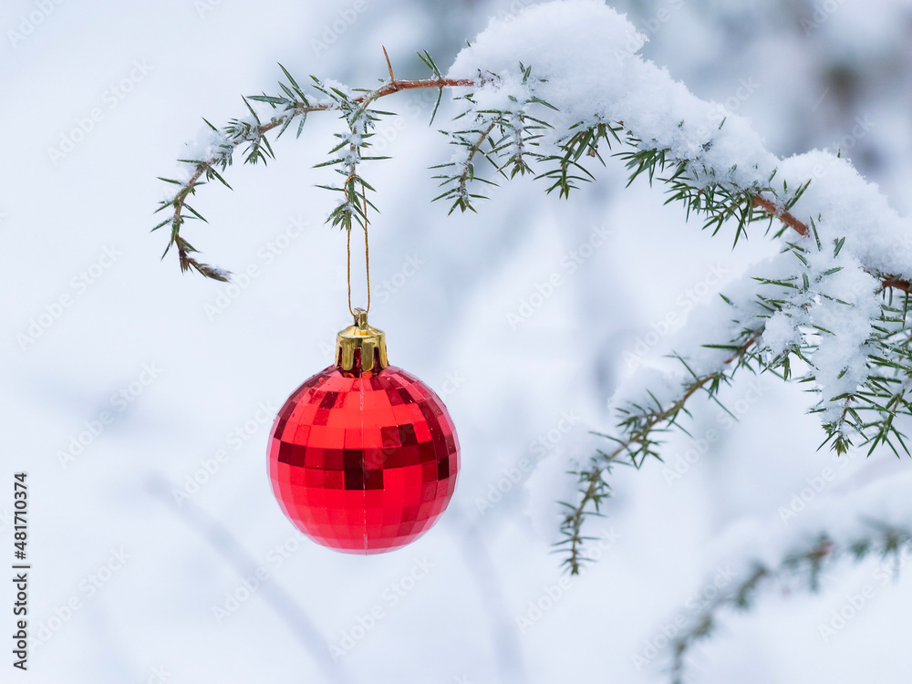Red Christmas ball hanging on a fir tree branch, in winter outdoors Red Christmas ball hanging on a fir tree branch, in winter outdoors