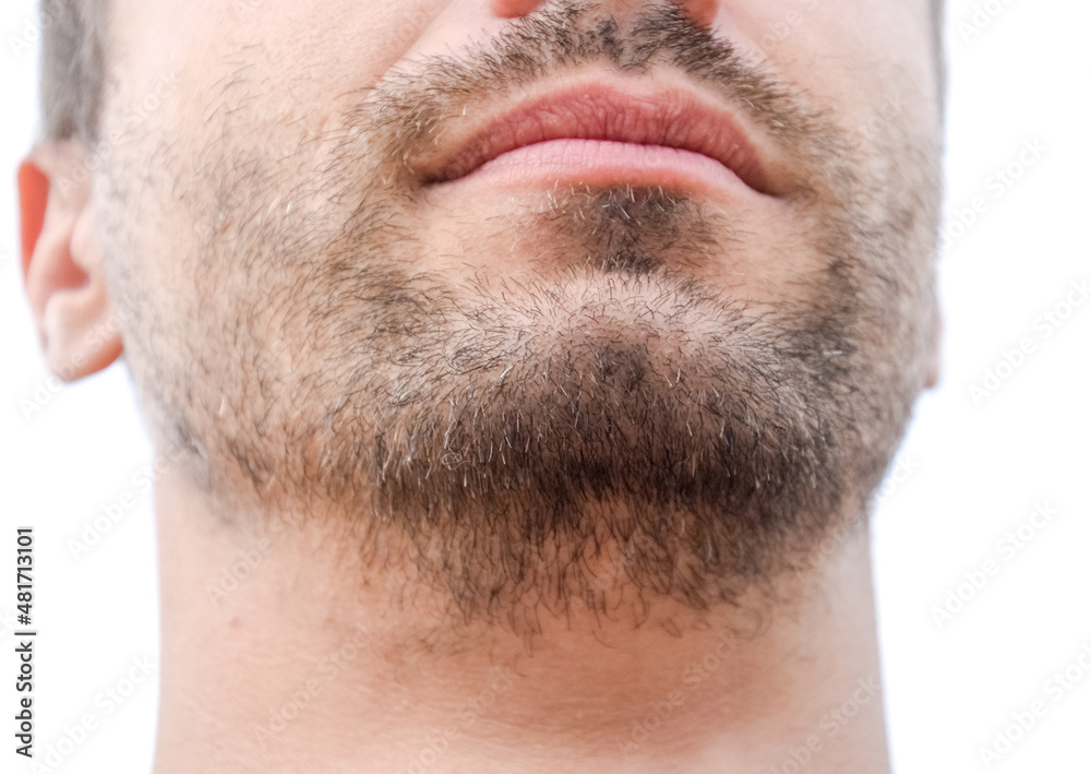 Fototapeta premium Bearded male chin. Beard on the face of a young man.