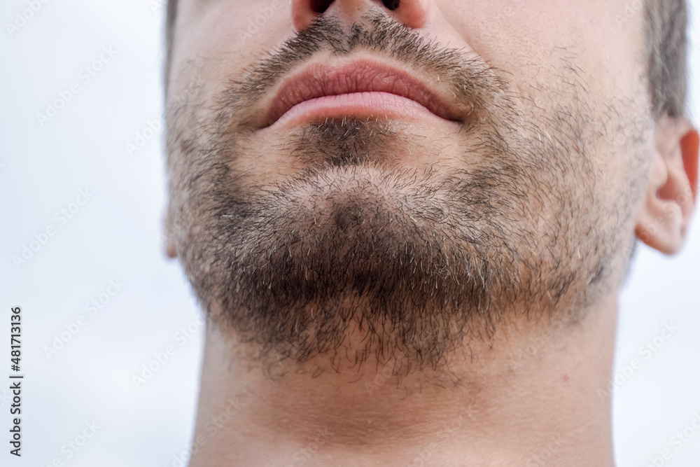 Fototapeta premium Bearded male chin. Beard on the face of a young man.