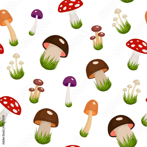 Colourful set with wild mushrooms isolated on white background. Seamless pattern
