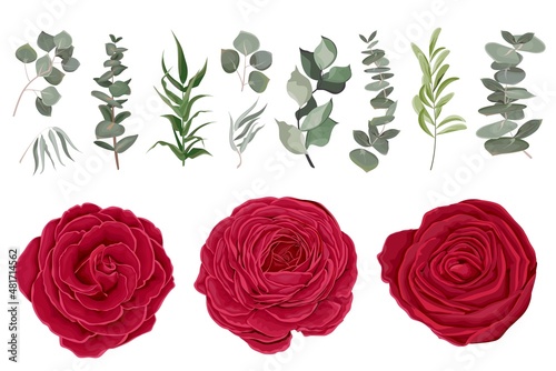Vector set of red roses and plants. Compositions of plants. Plants and flowers isolated on a white background. Elements for floral design.
