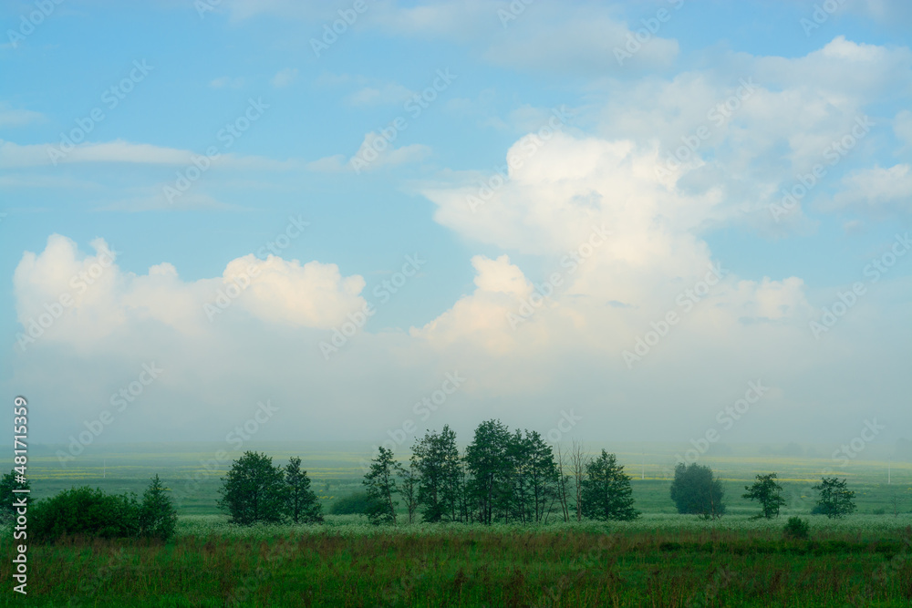 Cumulonimbus clouds and fog over rapeseed field