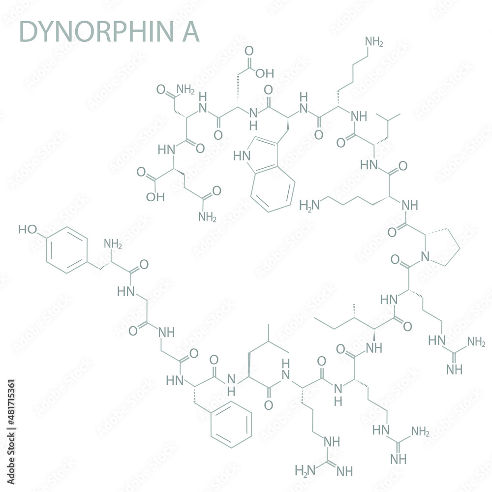 Dynorphin A molecular skeletal chemical formula. Dynorphin A molecular skeletal chemical formula.