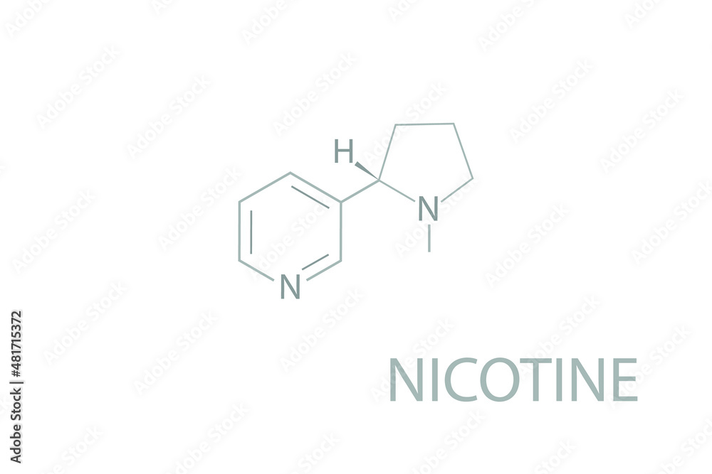 Nicotine molecular skeletal chemical formula. Nicotine molecular skeletal chemical formula.