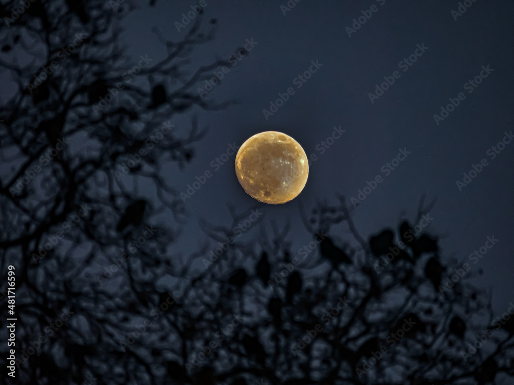 The full moon The full moon