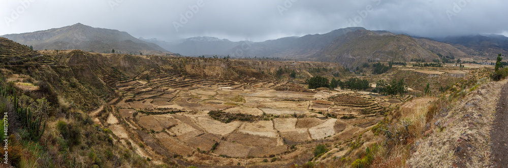 Panoramic image of agricultural fields on terraces in the Colca Canyon, Arequipa, Peru