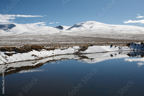 Landscape of the puna of Peru, snowy, with a lagoon and ichu plants photo