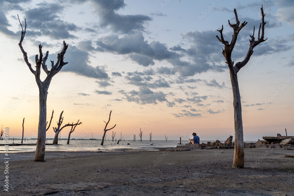 Woman reading a book at sunset, surrounded by dry trees in front of a lagoon. Woman reading a book at sunset, surrounded by dry trees in front of a lagoon.