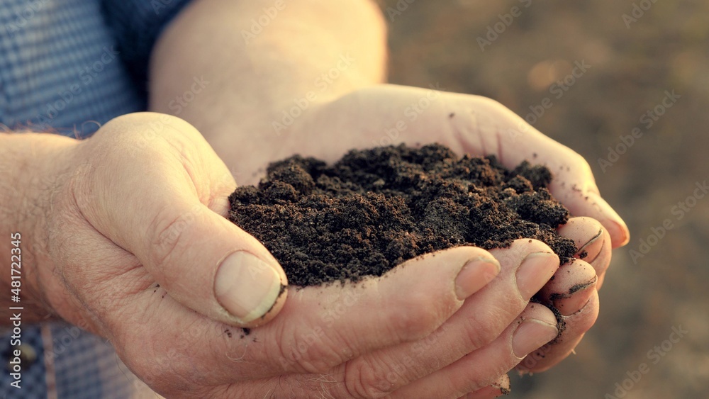 Farmer's hands hold a handful of fertile soil. The concept of agriculture, agribusiness. The gardener holds humus, fertilized soil, compost soil in his palms. Agriculture and fertility.