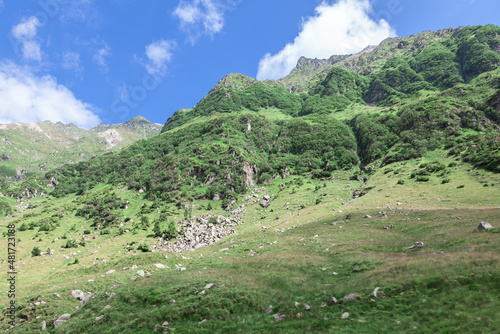 Green mountain in the springtime . Mountainous landscape with rockfall