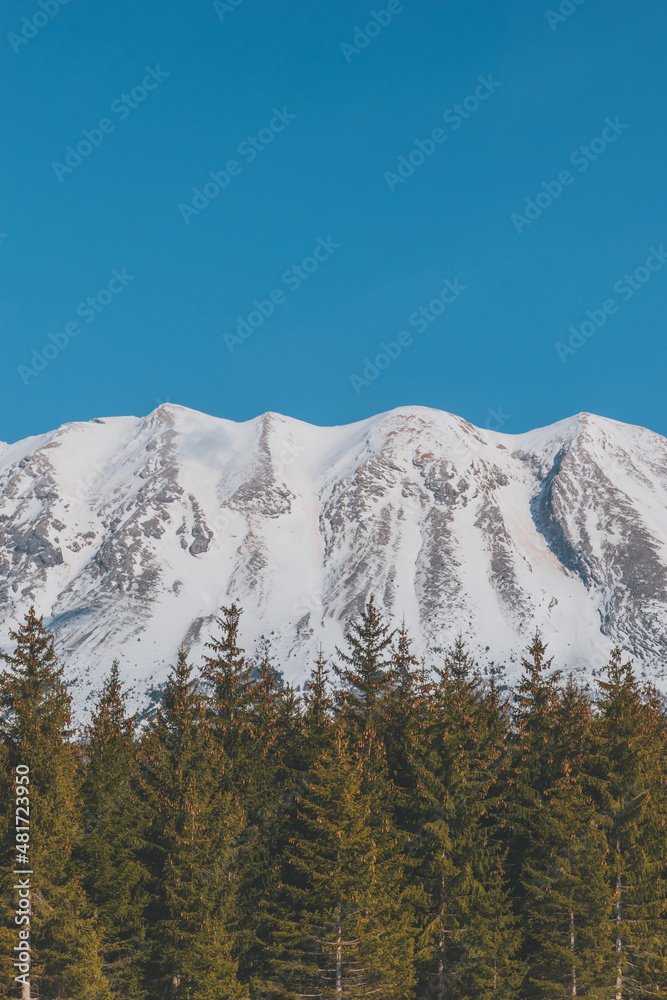 Obraz premium A picturesque vertical landscape view of the French Alps mountains on a cold winter day (La Joue du Loup, Devoluy)