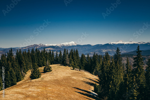 Snow-capped mountains, meadow and coniferous forest, spring, winter