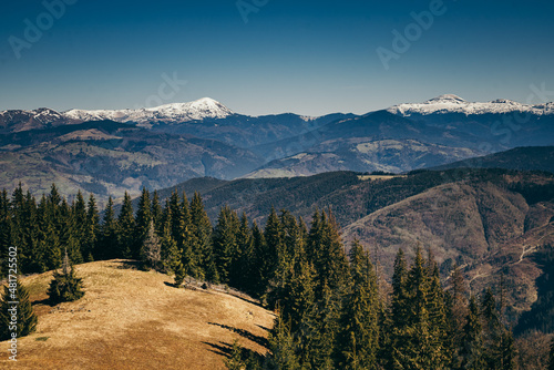 Snow-capped mountains, deforestation and coniferous forest, spring, winter