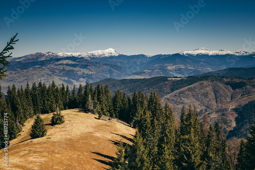 Snow-capped mountains, meadow among coniferous forest, spring, winter