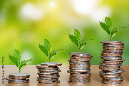 Growing money - Plant on coins placed on wood table top - finance and investment concept.