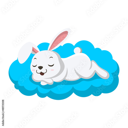 Cute little white bunny sleeping on pillow