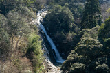 Waterfall is in mountain of Saga prefecture, JAPAN
