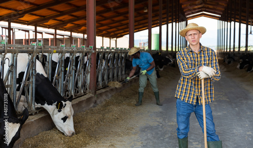 Portrait of focused young adult male farmer posing on dairy farm