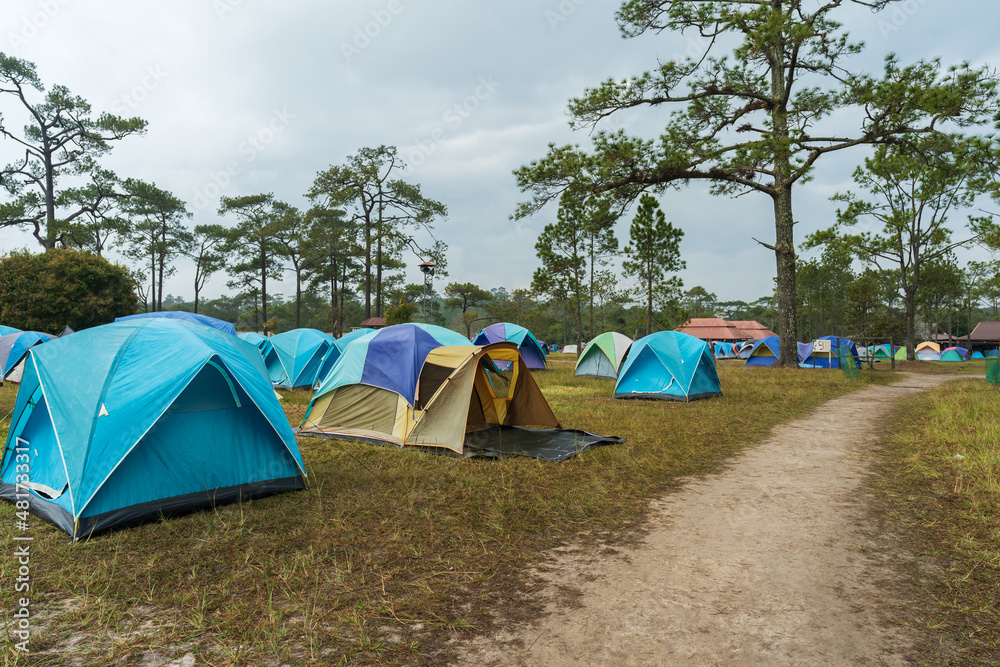 tourist tent on meadow at Phu Kradueng, Loei province, Thailand