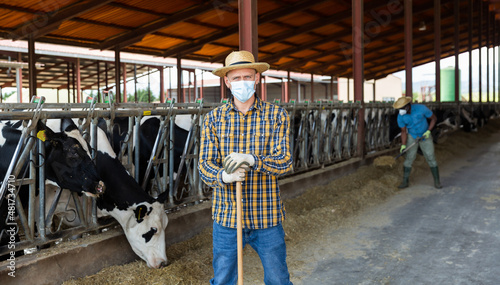 Portrait of confident young male farmer wearing protective face mask for disease protection posing in outdoor cowshed at dairy farm on summer day
