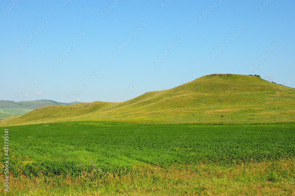 A range of hills on the edge of an endless steppe overgrown with tall green grass.