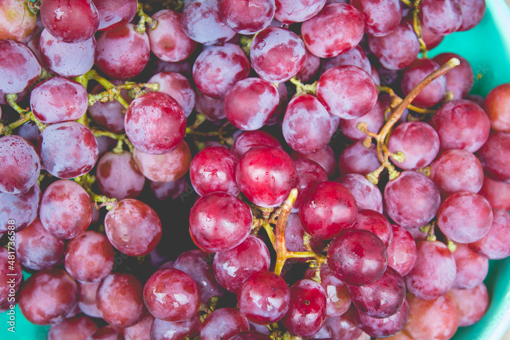 Red grape with water drops, close-up background Red grape with water drops, close-up background
