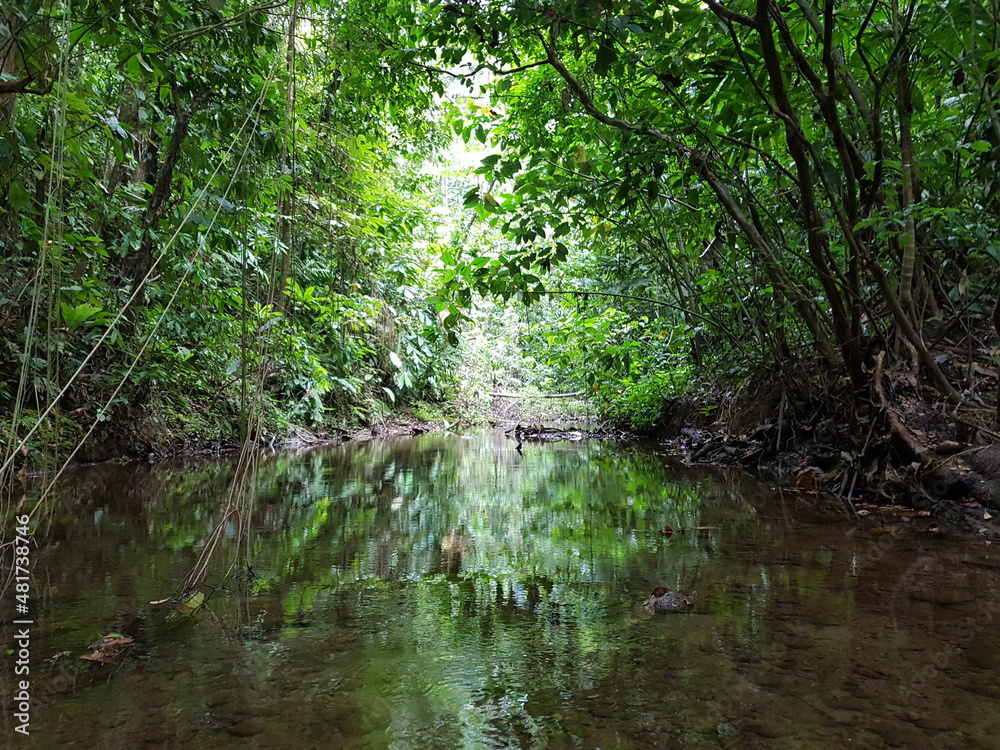 An unnamed river from a very remote location in Corcovado National Park in the Osa Peninsula of Costa Rica