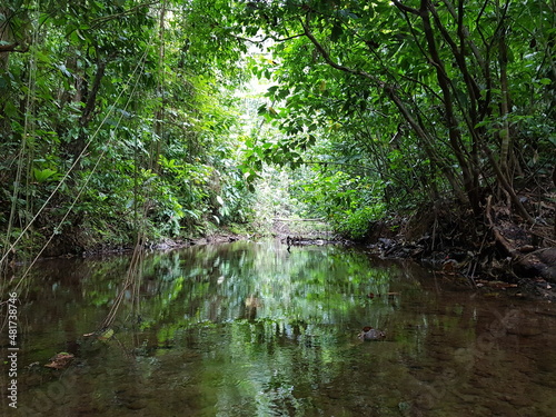 An unnamed river from a very remote location in Corcovado National Park in the Osa Peninsula of Costa Rica