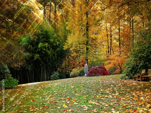 Autumn landscape with bursts of light