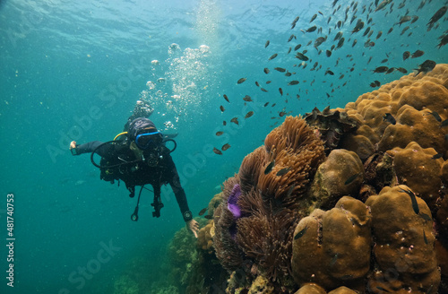Scuba diver in tropical waters hovering around a colorful coral reef with small fish - inspecting the corals in southern Thailand