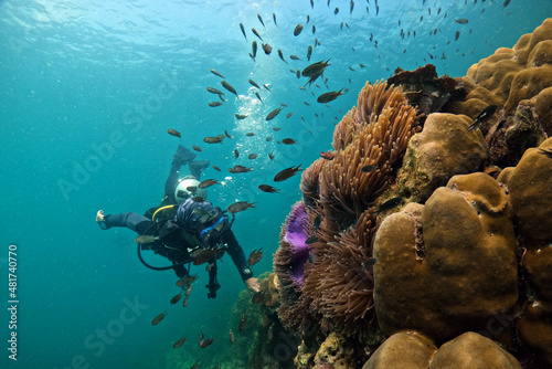 Scuba diver in tropical waters hovering around a colorful coral reef with small fish - southern Thailand