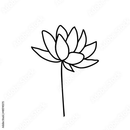 Lotus flower on a white background. Vector illustration in doodle style. Drawn in outline.