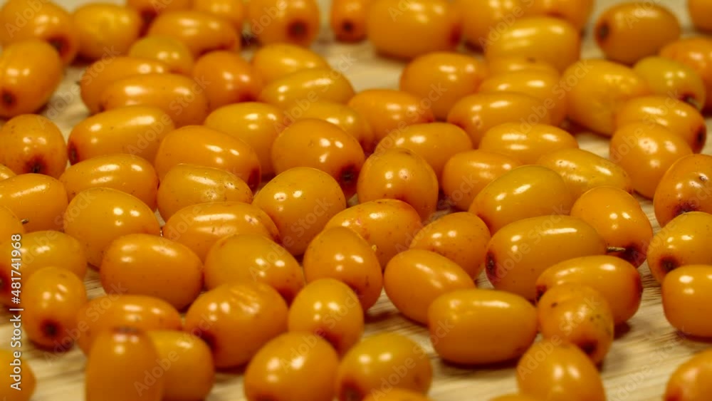 Sea buckthorn berries. Close up, background rotation Sea buckthorn berries. Close up, background rotation
