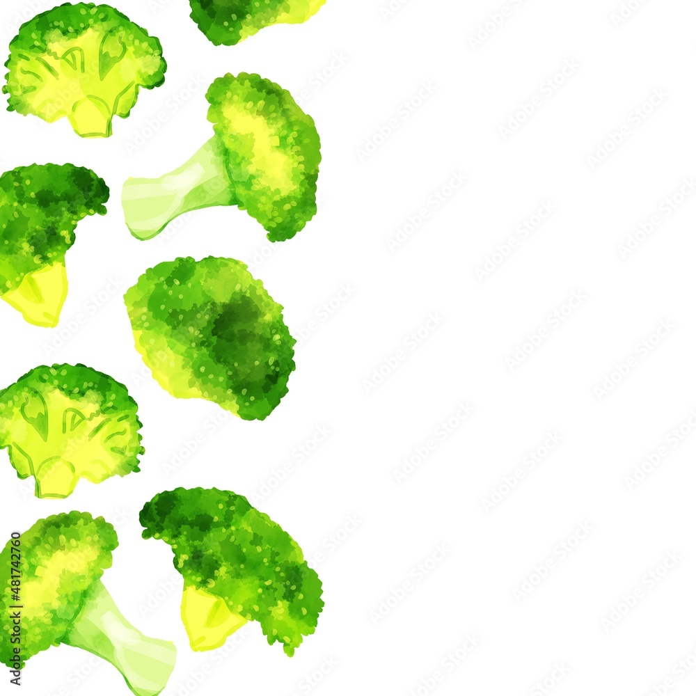 手描き水彩のブロッコリーイラスト正方形フレーム 左 Stock Illustration Adobe Stock