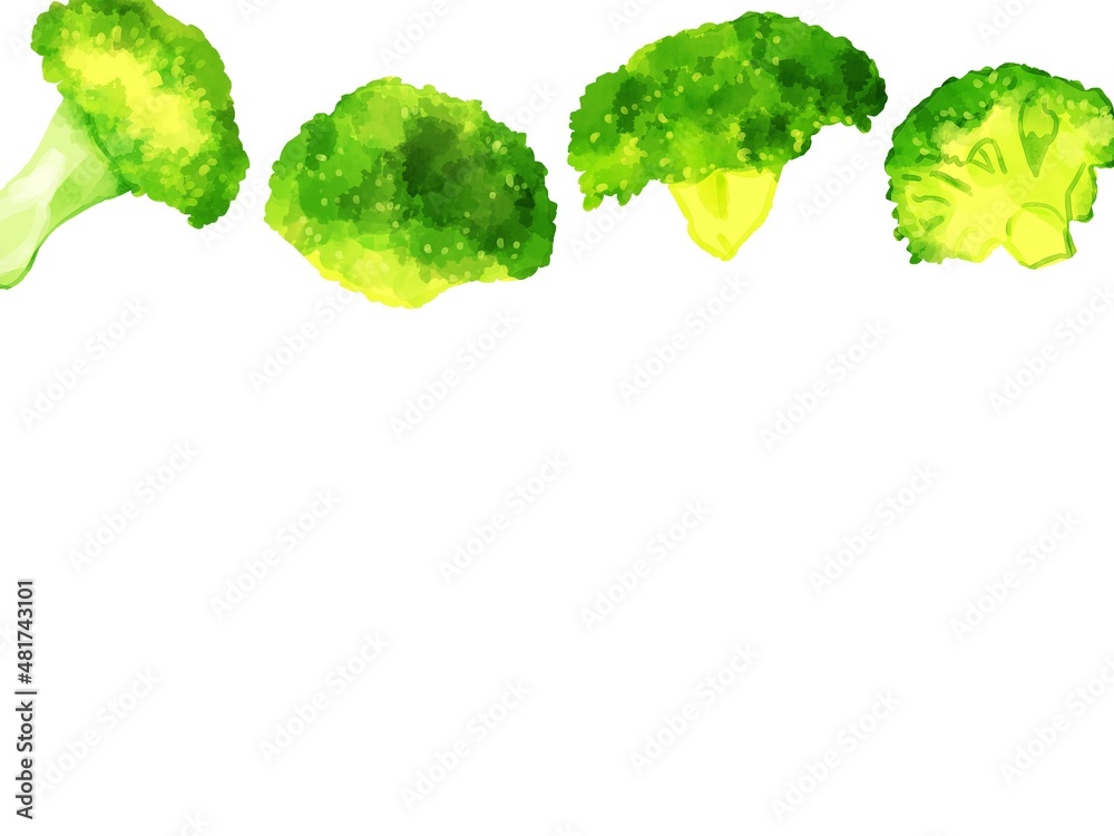 手描き水彩のブロッコリーイラスト長方形フレーム 上 Stock Illustration Adobe Stock