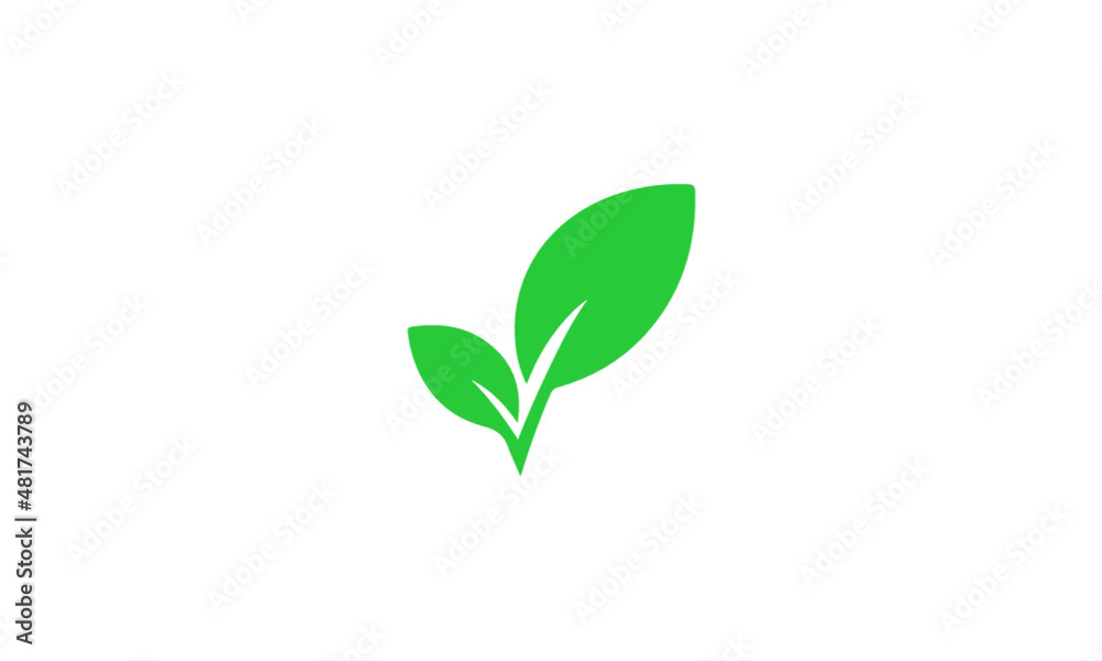 green leaf icon