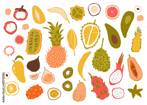 Tropical fruits collection. Bright and juicy isolated fruits in simple elegant style.