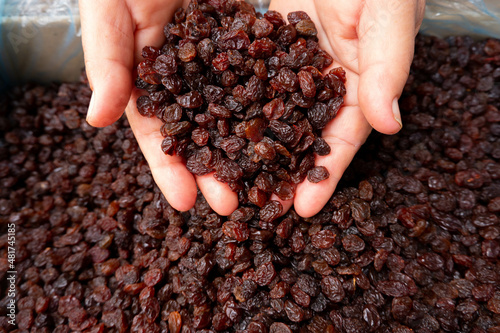 Hand of female holding of dry raisins and dry raisins background