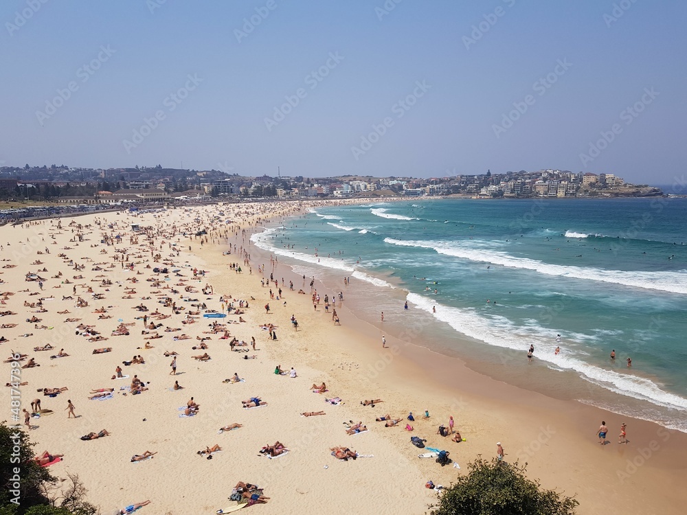 bondi beach