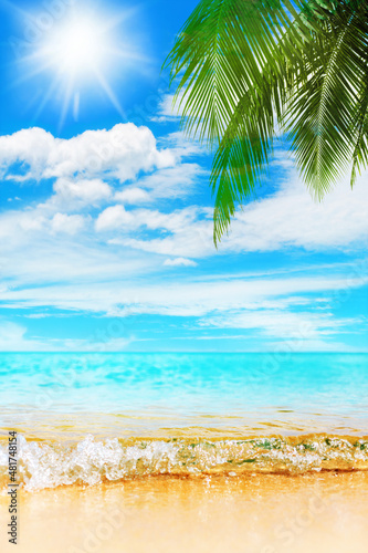 Tropical island paradise beach nature  blue sea wave  ocean water  green coconut palm tree leaves  yellow sand  sun  sky  white clouds  beautiful caribbean landscape  summer holidays  vacation  travel