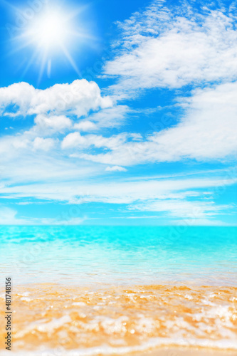 Tropical island paradise beach  tropic nature  blue sea wave  turquoise ocean water  yellow sand  sun  sky white clouds  beautiful caribbean landscape  summer holidays  vacation concept  travel design