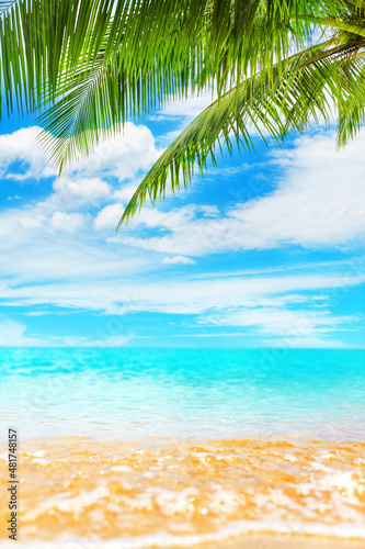 Fototapeta Naklejka Na Ścianę i Meble -  Tropical island paradise beach nature, blue sea wave, ocean water, green coconut palm tree leaves, yellow sand, sun, sky, white clouds, beautiful caribbean landscape, summer holidays, vacation, travel