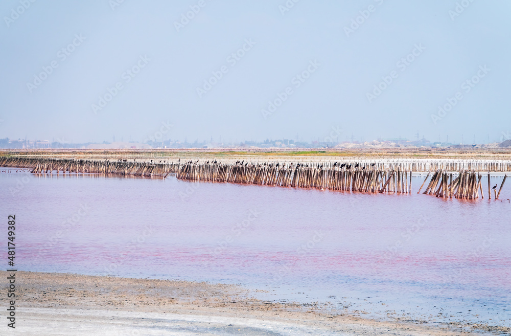 A beautiful salt lake with pink water.