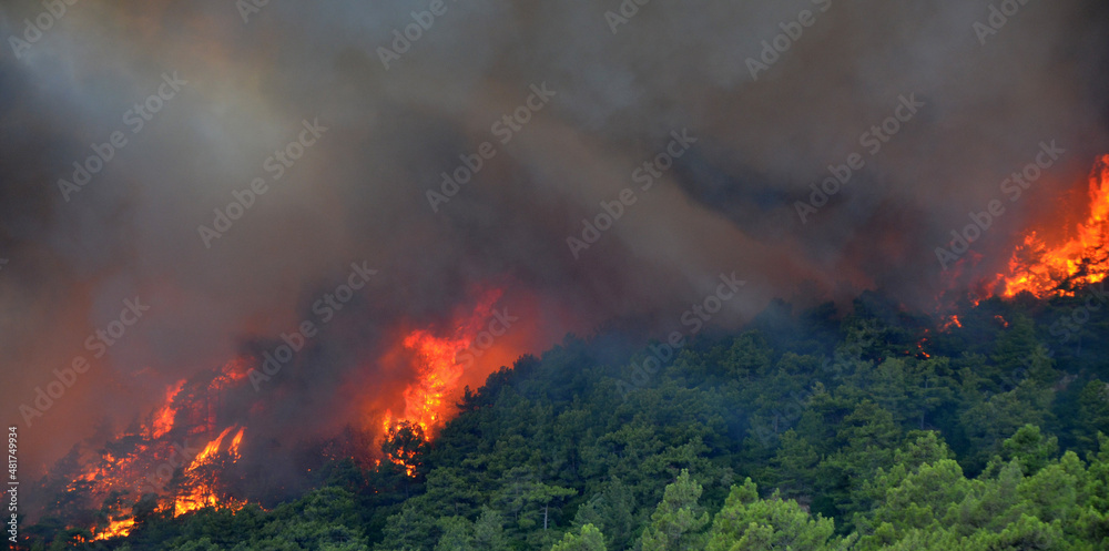 Wildfire in the forest near a resort town.Marmaris, Turkey. Summer 2021